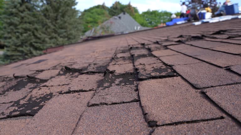 Best Asphalt Shingles Roofing  in Langhorne, PA