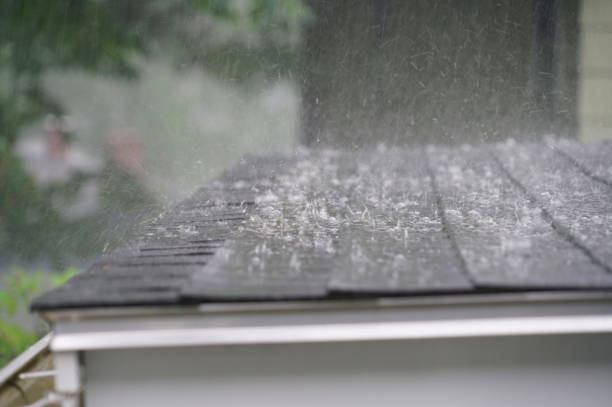Best Solar Panel Roofing Installation  in Langhorne, PA