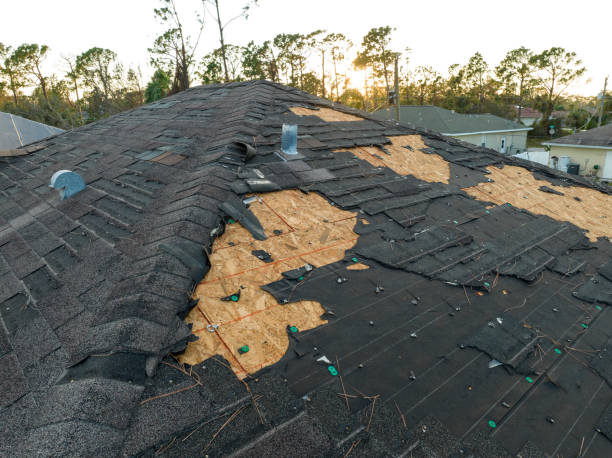 Best Rubber Roofing (EPDM, TPO)  in Langhorne, PA